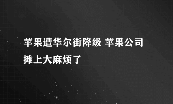 苹果遭华尔街降级 苹果公司摊上大麻烦了