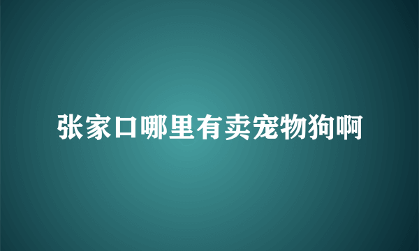 张家口哪里有卖宠物狗啊