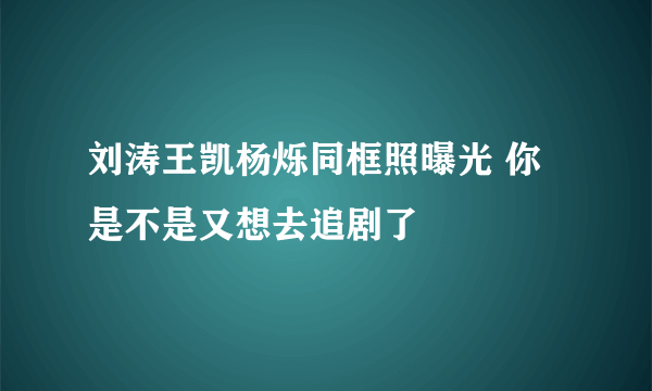 刘涛王凯杨烁同框照曝光 你是不是又想去追剧了