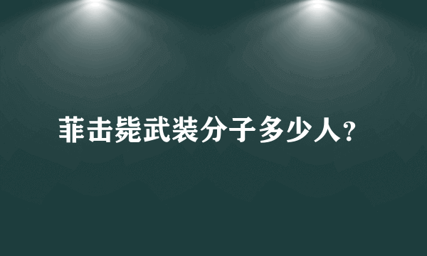 菲击毙武装分子多少人？