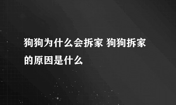 狗狗为什么会拆家 狗狗拆家的原因是什么