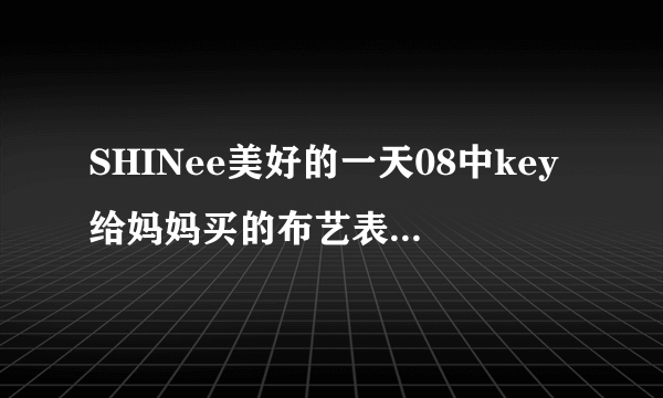 SHINee美好的一天08中key给妈妈买的布艺表是什么牌的？