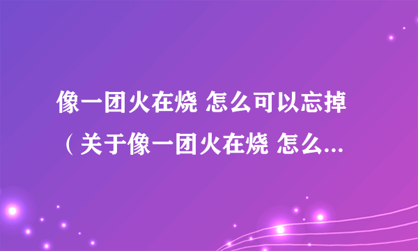 像一团火在烧 怎么可以忘掉（关于像一团火在烧 怎么可以忘掉的简介）