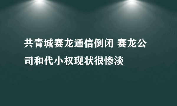 共青城赛龙通信倒闭 赛龙公司和代小权现状很惨淡