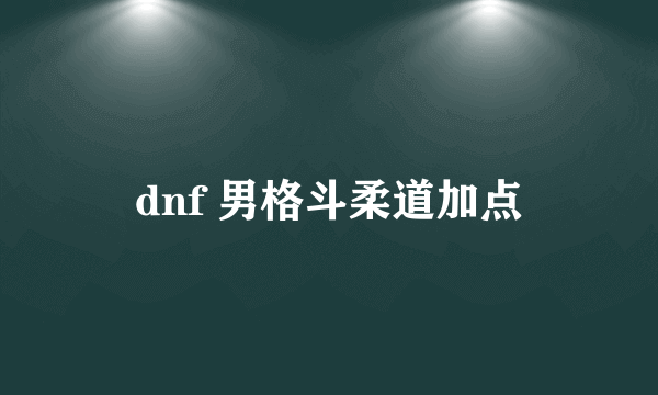 dnf 男格斗柔道加点