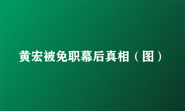 黄宏被免职幕后真相（图）