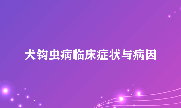 犬钩虫病临床症状与病因