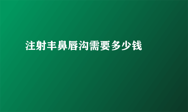 注射丰鼻唇沟需要多少钱		