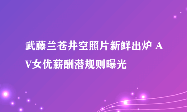 武藤兰苍井空照片新鲜出炉 AV女优薪酬潜规则曝光