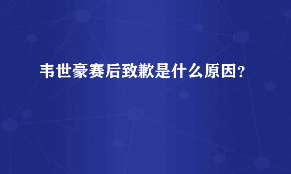 韦世豪赛后致歉是什么原因？