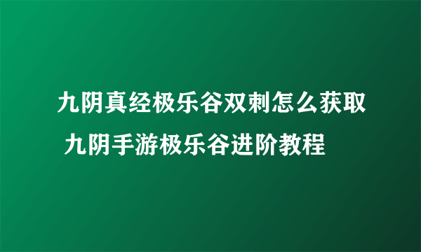 九阴真经极乐谷双刺怎么获取 九阴手游极乐谷进阶教程