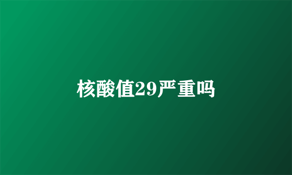 核酸值29严重吗