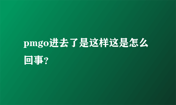 pmgo进去了是这样这是怎么回事？