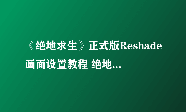 《绝地求生》正式版Reshade画面设置教程 绝地求生正式版Reshade怎么用