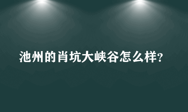 池州的肖坑大峡谷怎么样？