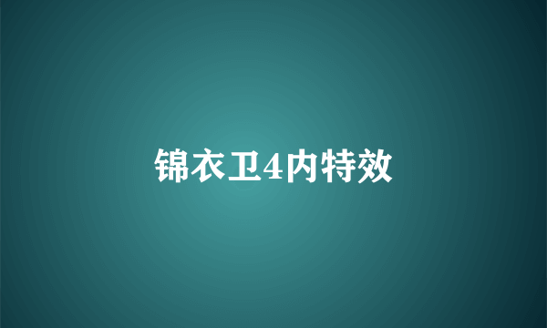 锦衣卫4内特效