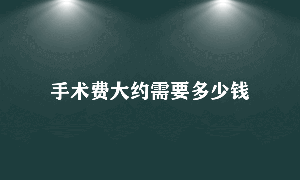 手术费大约需要多少钱