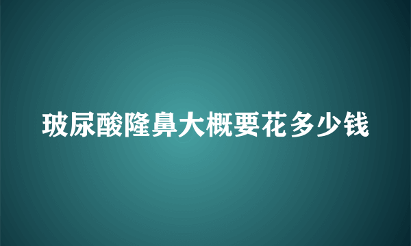 玻尿酸隆鼻大概要花多少钱