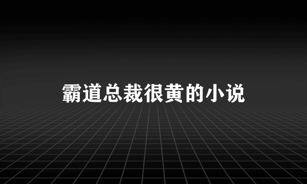 霸道总裁很黄的小说