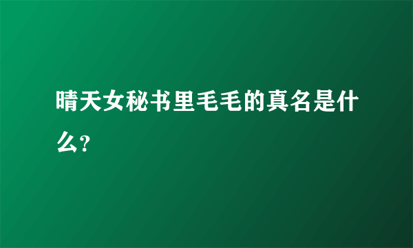 晴天女秘书里毛毛的真名是什么？