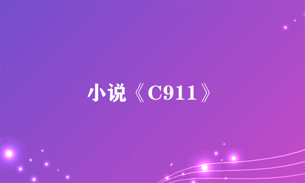 小说《C911》