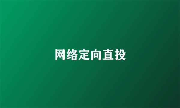 网络定向直投