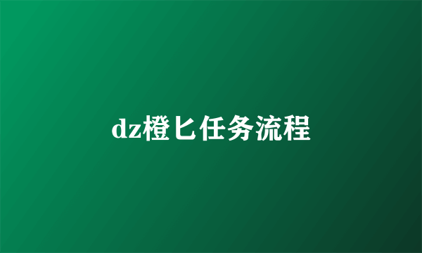 dz橙匕任务流程