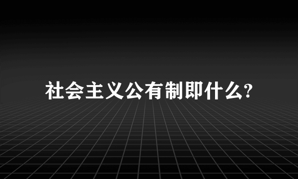 社会主义公有制即什么?