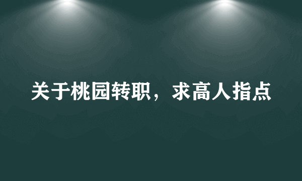 关于桃园转职，求高人指点