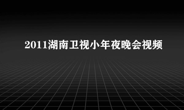 2011湖南卫视小年夜晚会视频