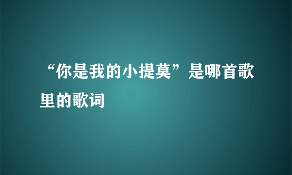 “你是我的小提莫”是哪首歌里的歌词