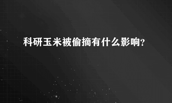 科研玉米被偷摘有什么影响？