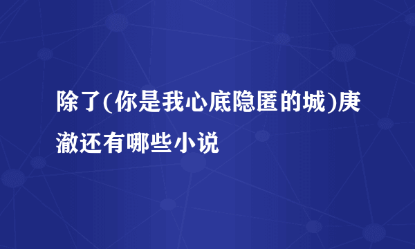 除了(你是我心底隐匿的城)庚澈还有哪些小说