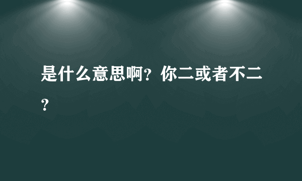 是什么意思啊？你二或者不二？