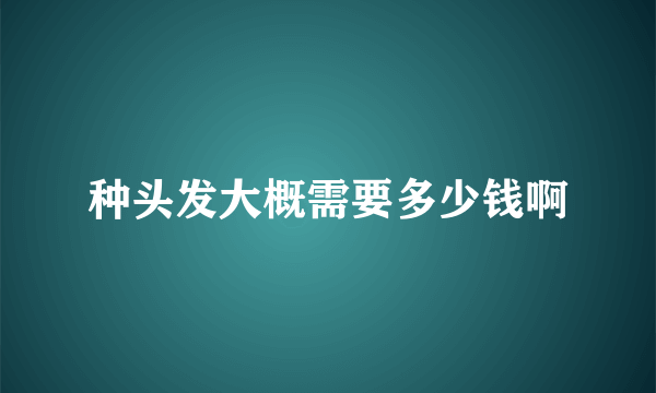 种头发大概需要多少钱啊