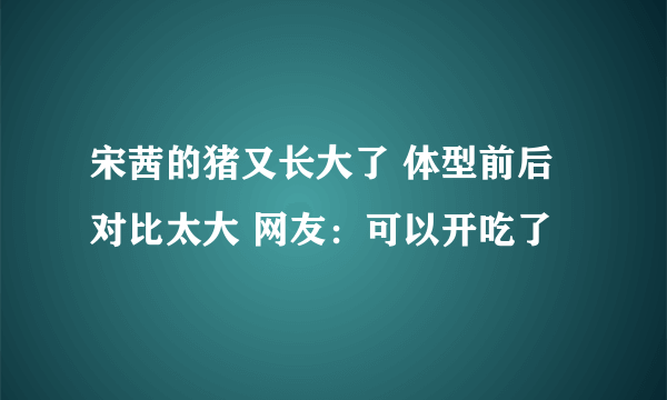 宋茜的猪又长大了 体型前后对比太大 网友：可以开吃了