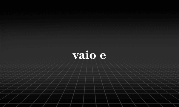 vaio e