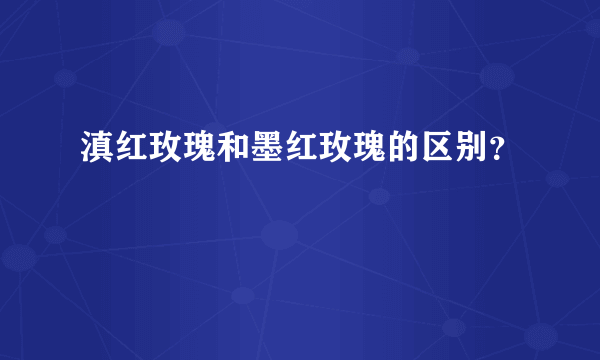 滇红玫瑰和墨红玫瑰的区别？