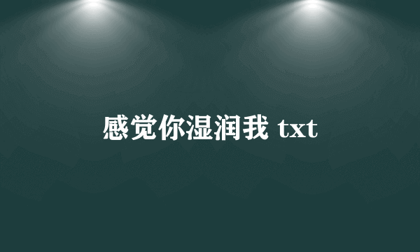 感觉你湿润我 txt