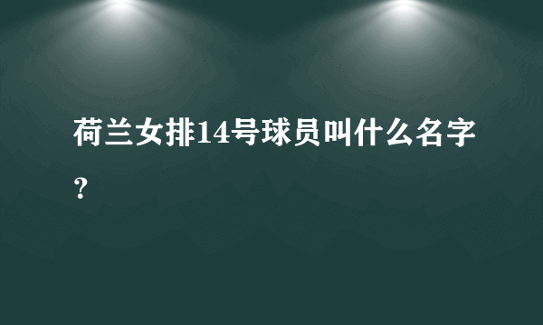 荷兰女排14号球员叫什么名字？