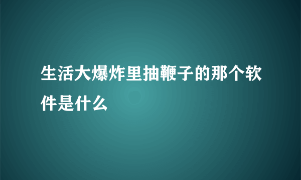 生活大爆炸里抽鞭子的那个软件是什么