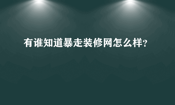 有谁知道暴走装修网怎么样？