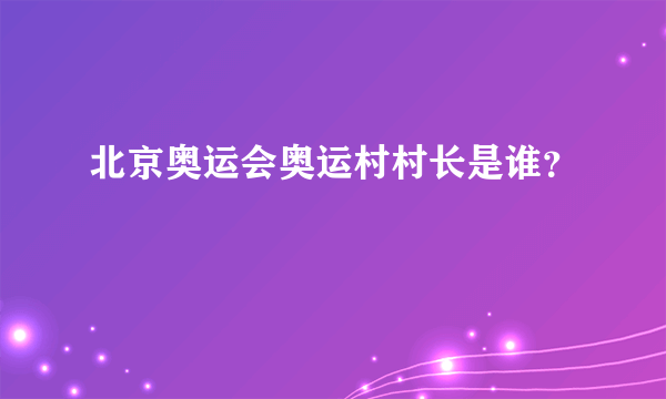 北京奥运会奥运村村长是谁？