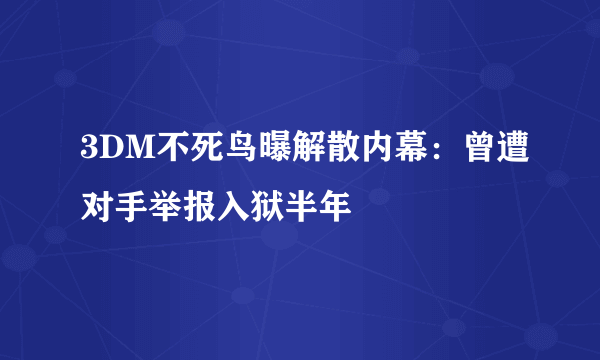 3DM不死鸟曝解散内幕：曾遭对手举报入狱半年