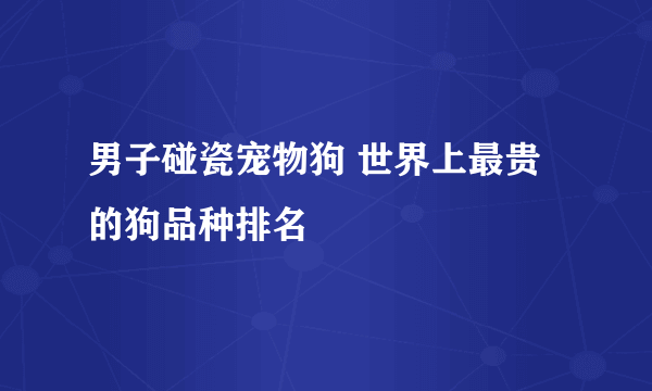 男子碰瓷宠物狗 世界上最贵的狗品种排名