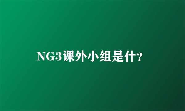 NG3课外小组是什？