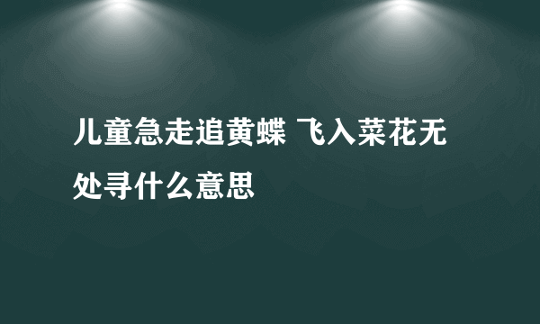 儿童急走追黄蝶 飞入菜花无处寻什么意思