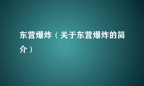 东营爆炸（关于东营爆炸的简介）